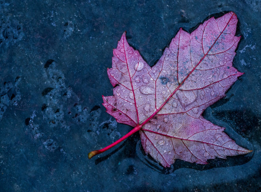 887342 (a): :1920x1408